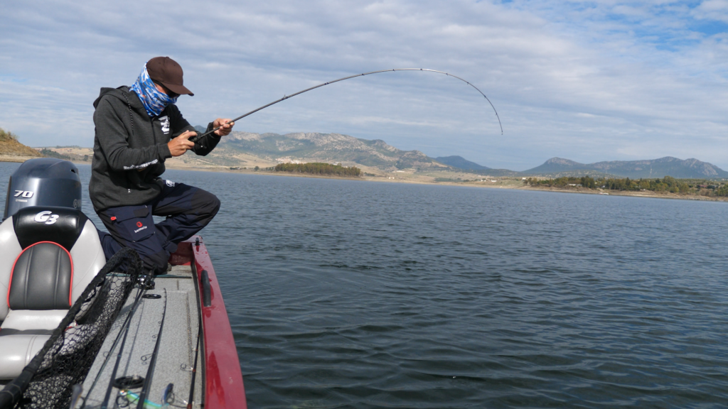 verticale fishing zander pro